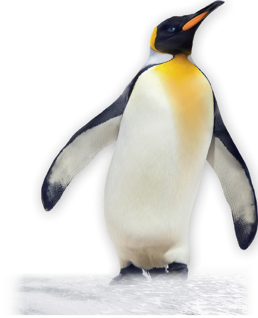 duotherm-stark Pinguin